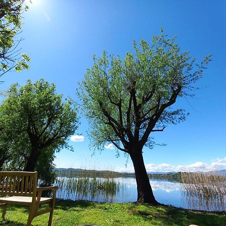 Appartamento Miralago Con Giardino Sul Lago ガヴィラーテ エクステリア 写真