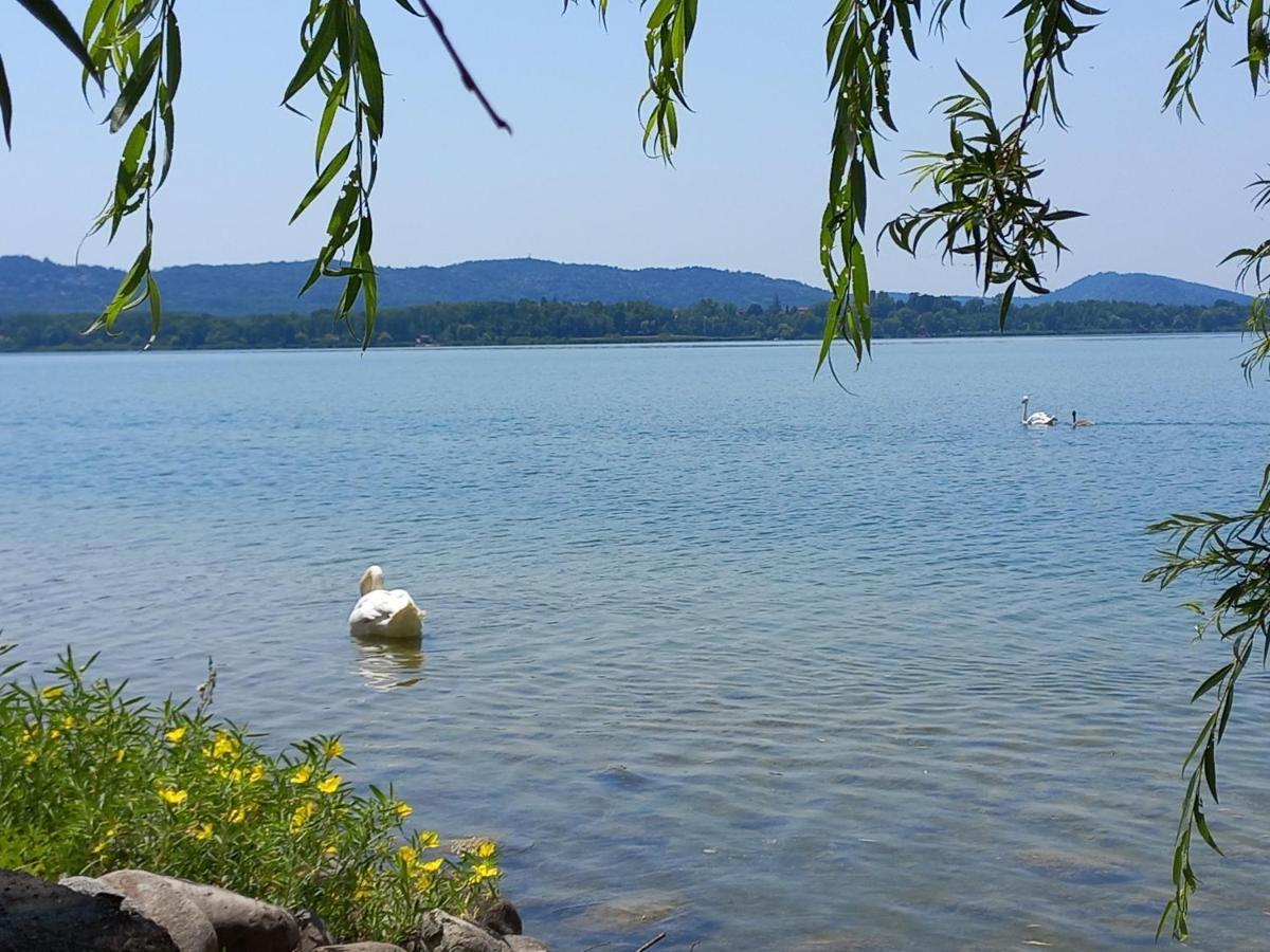 Appartamento Miralago Con Giardino Sul Lago ガヴィラーテ エクステリア 写真