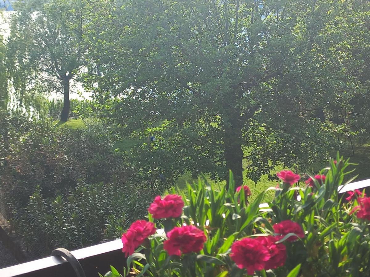 Appartamento Miralago Con Giardino Sul Lago ガヴィラーテ エクステリア 写真