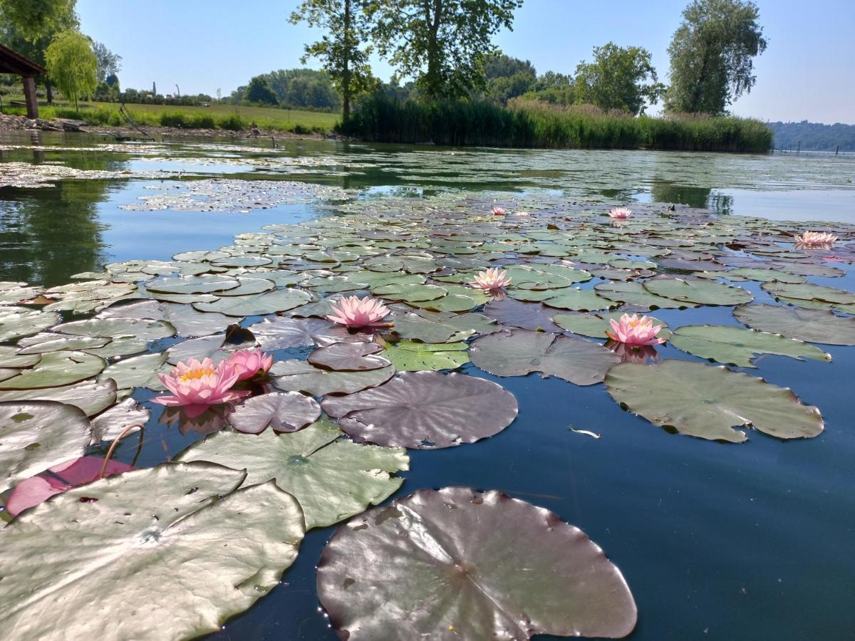 Appartamento Miralago Con Giardino Sul Lago ガヴィラーテ エクステリア 写真
