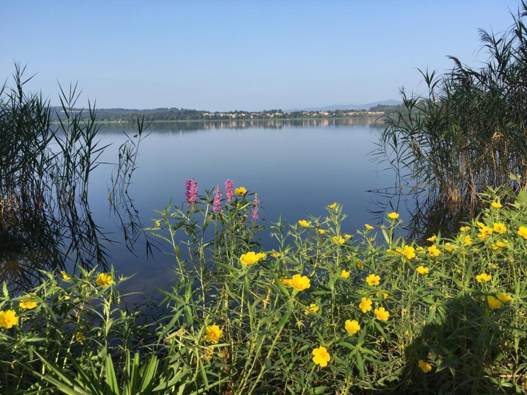 Appartamento Miralago Con Giardino Sul Lago ガヴィラーテ エクステリア 写真