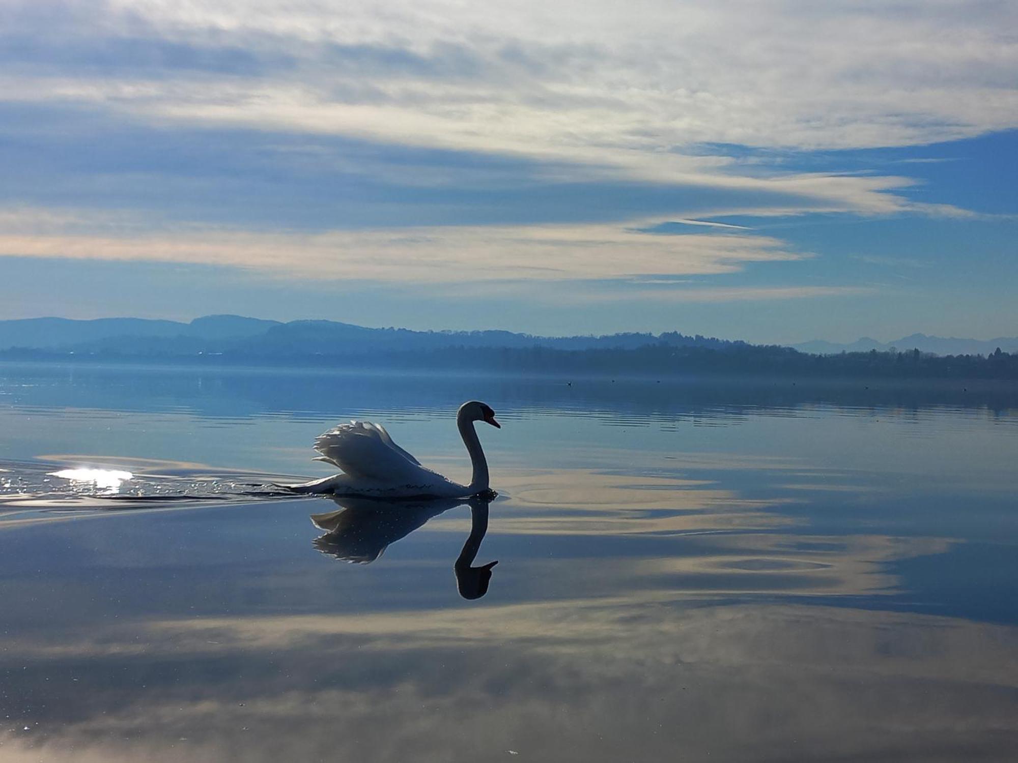 Appartamento Miralago Con Giardino Sul Lago ガヴィラーテ エクステリア 写真