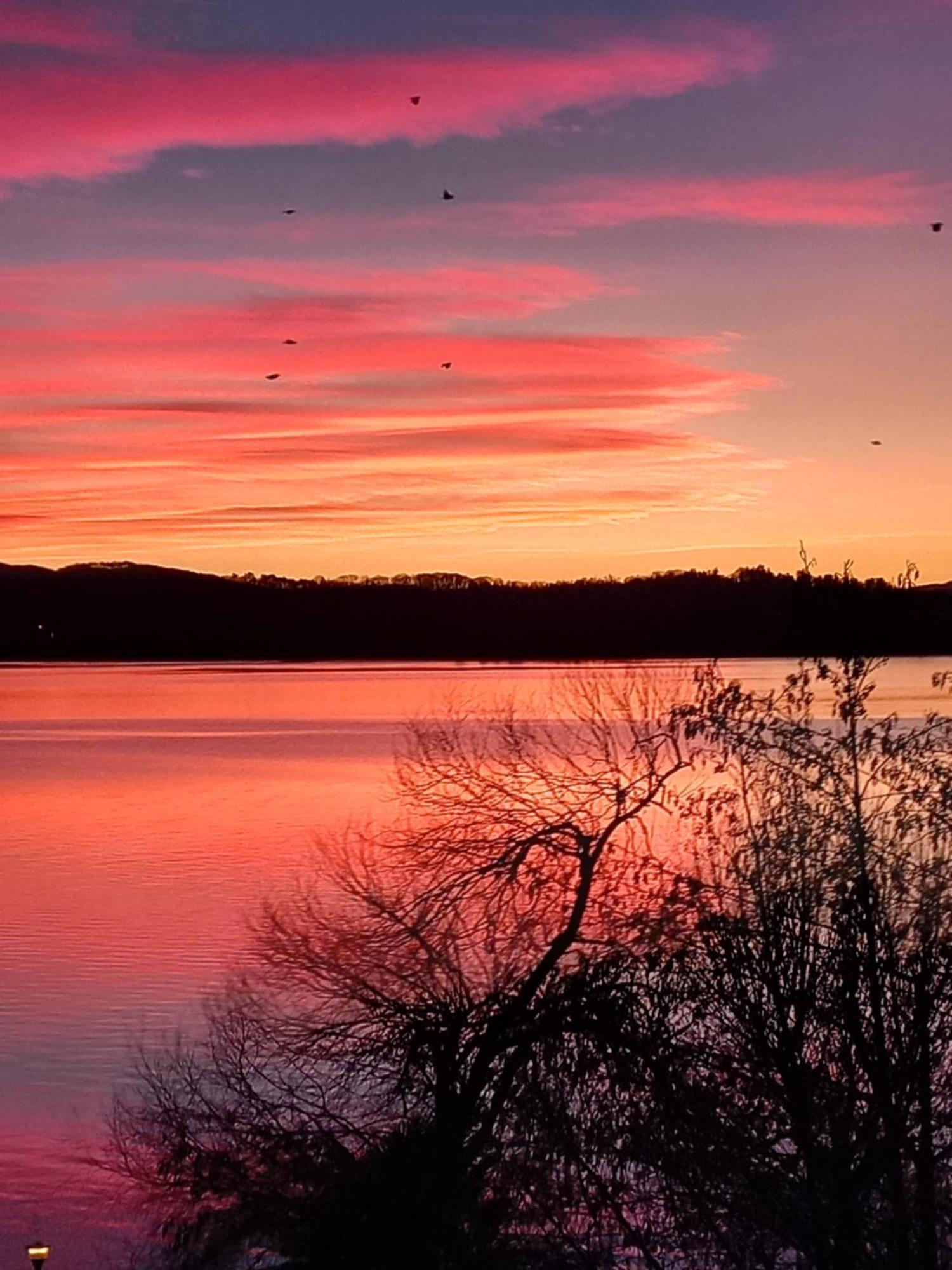 Appartamento Miralago Con Giardino Sul Lago ガヴィラーテ エクステリア 写真