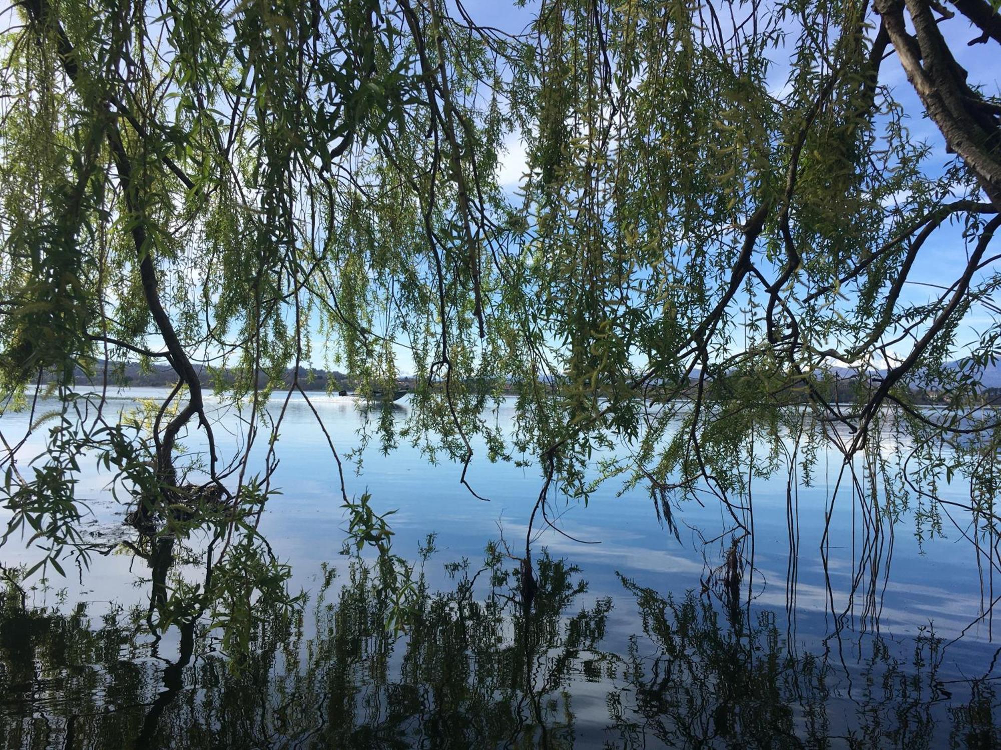 Appartamento Miralago Con Giardino Sul Lago ガヴィラーテ エクステリア 写真